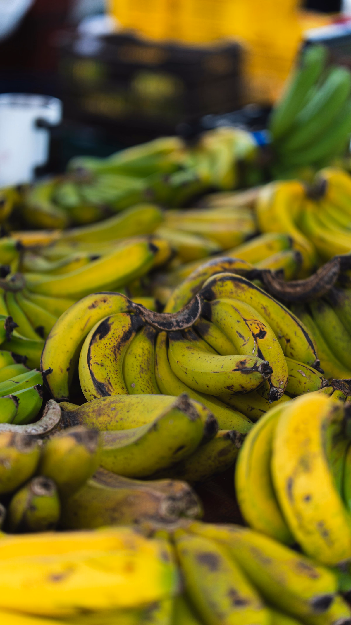 Bananas