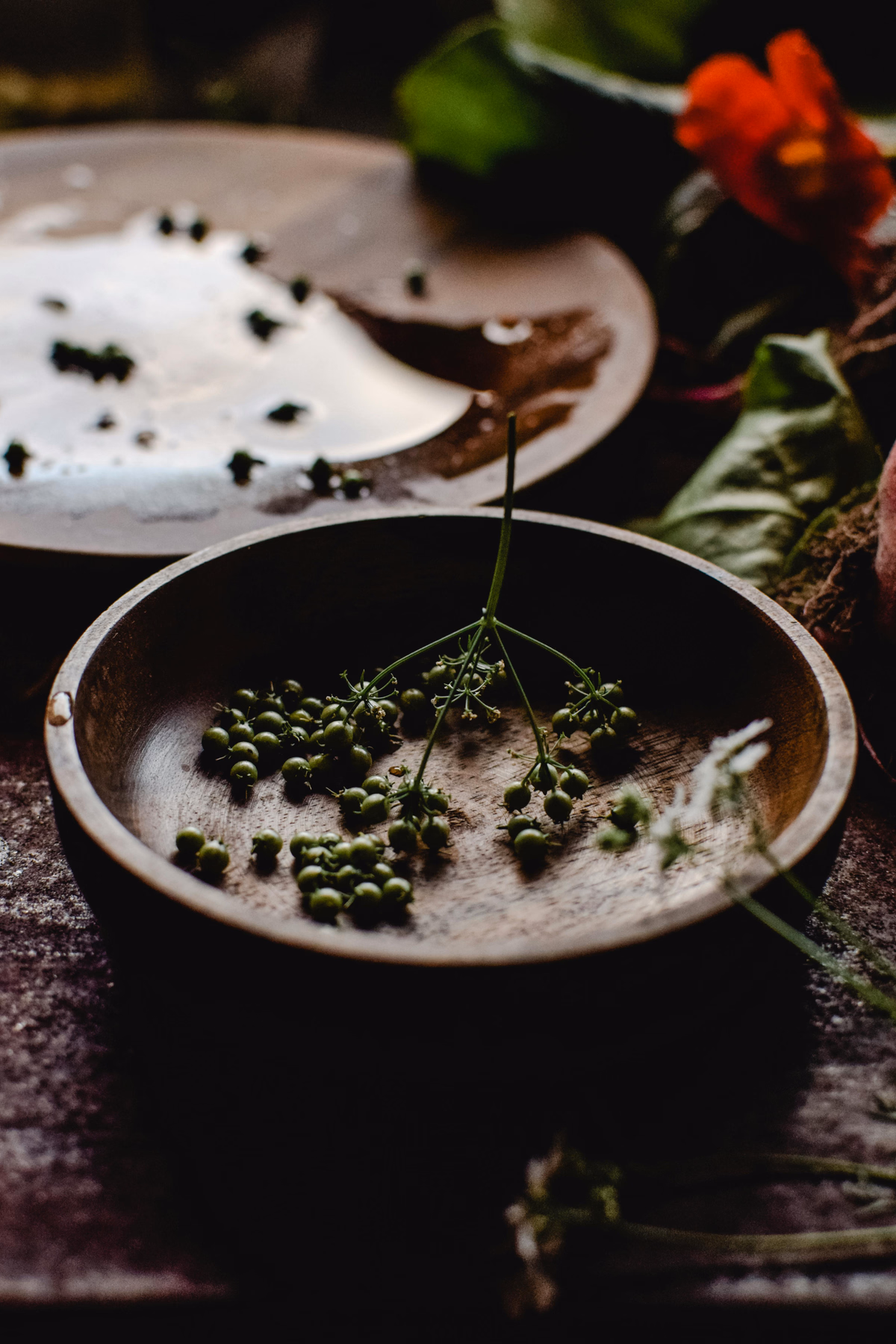 Cilantro & Coriander seeds