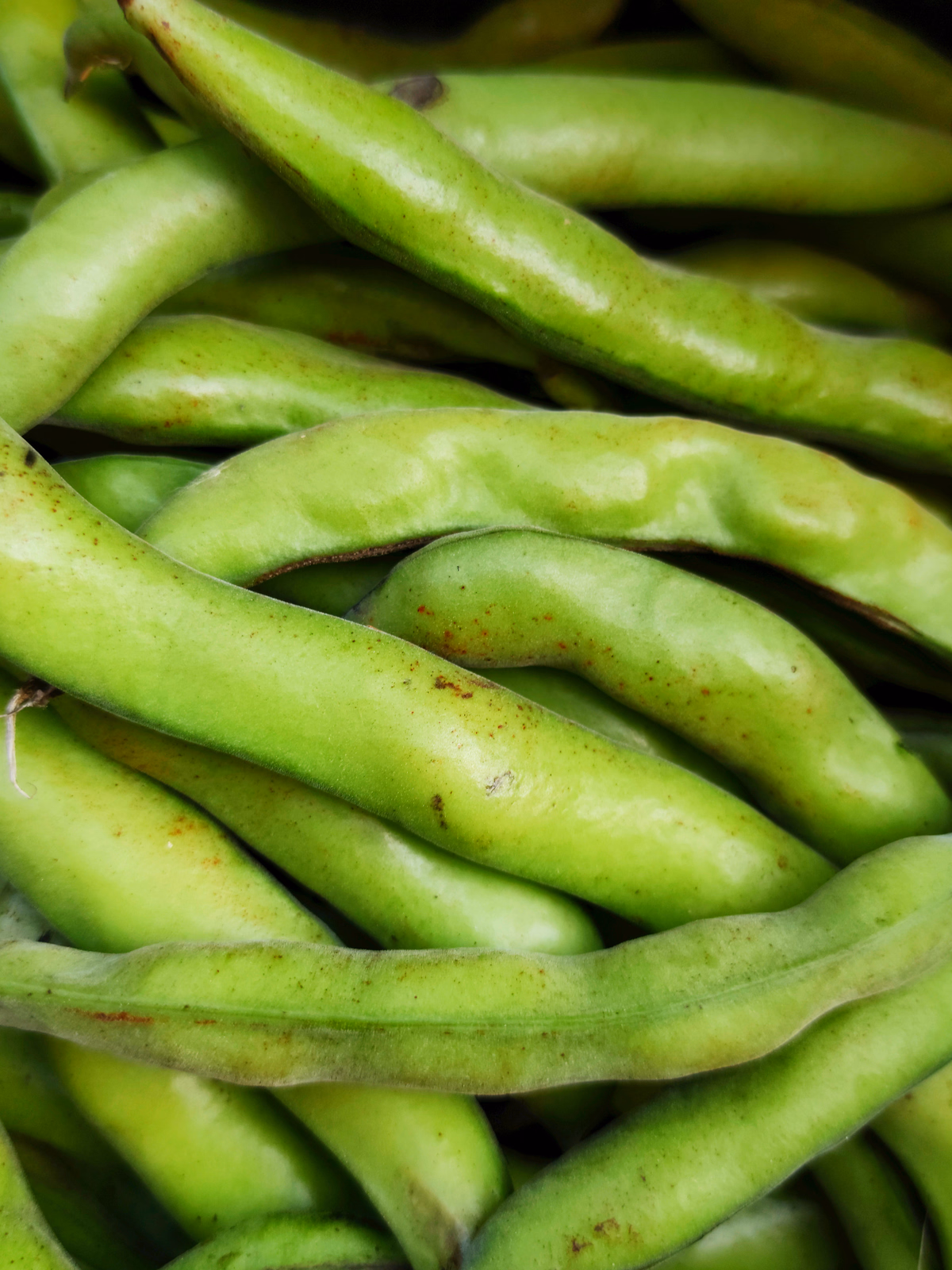 Green beans