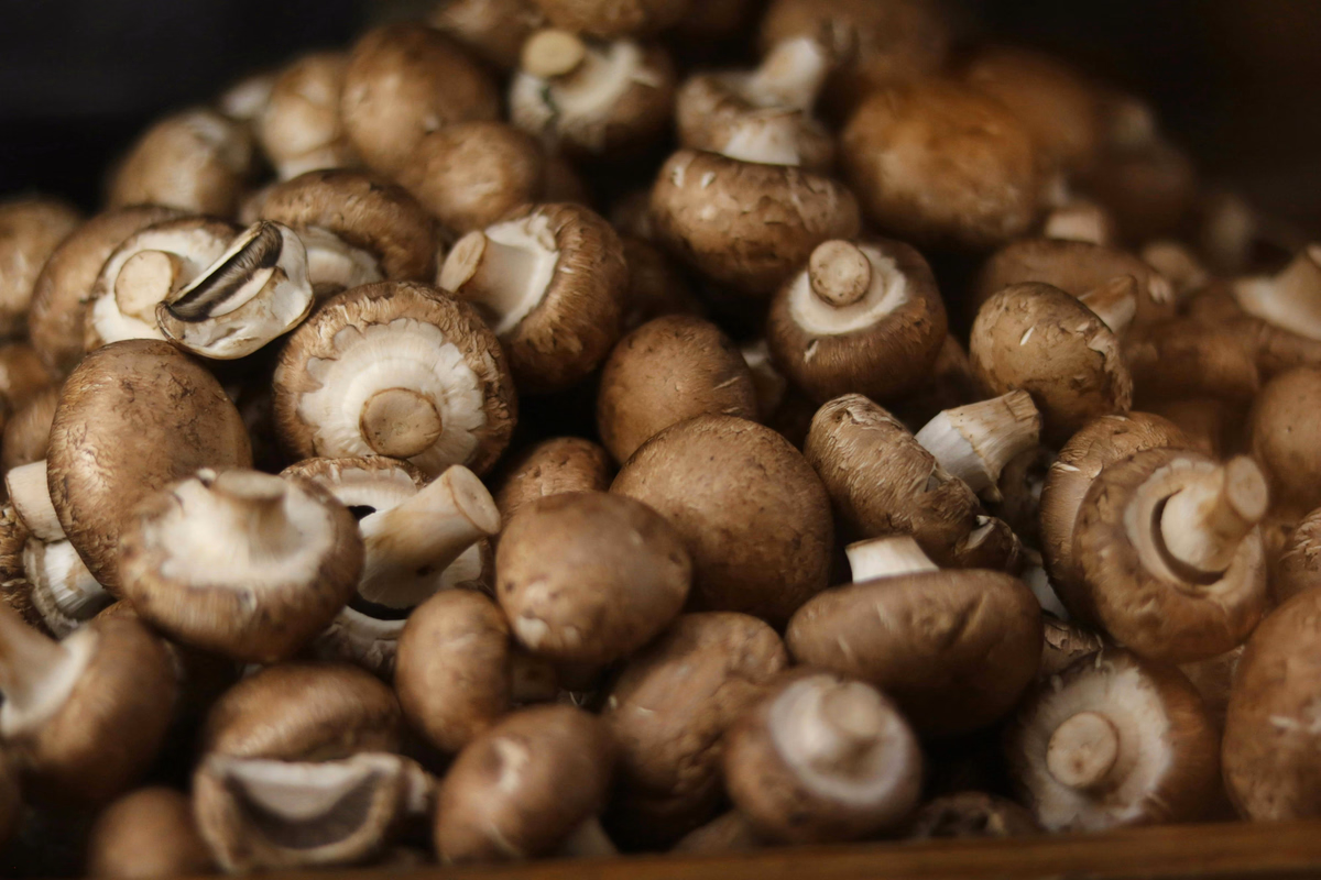 Mushrooms, crimini