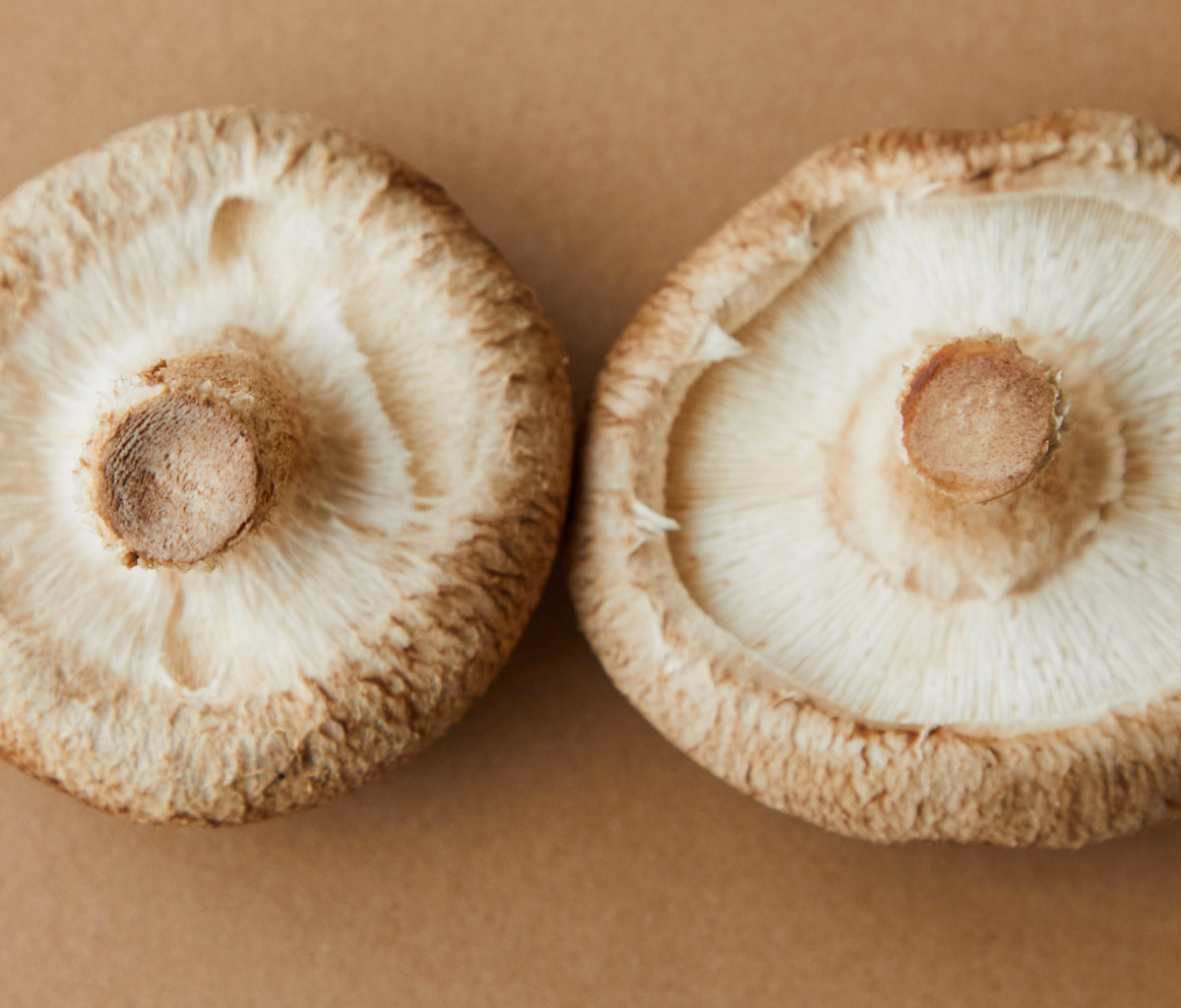 Mushrooms, shiitake