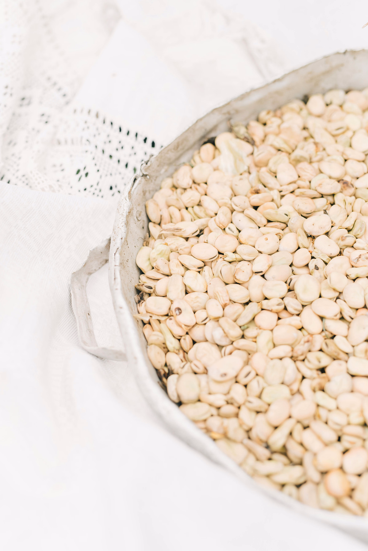 Navy beans