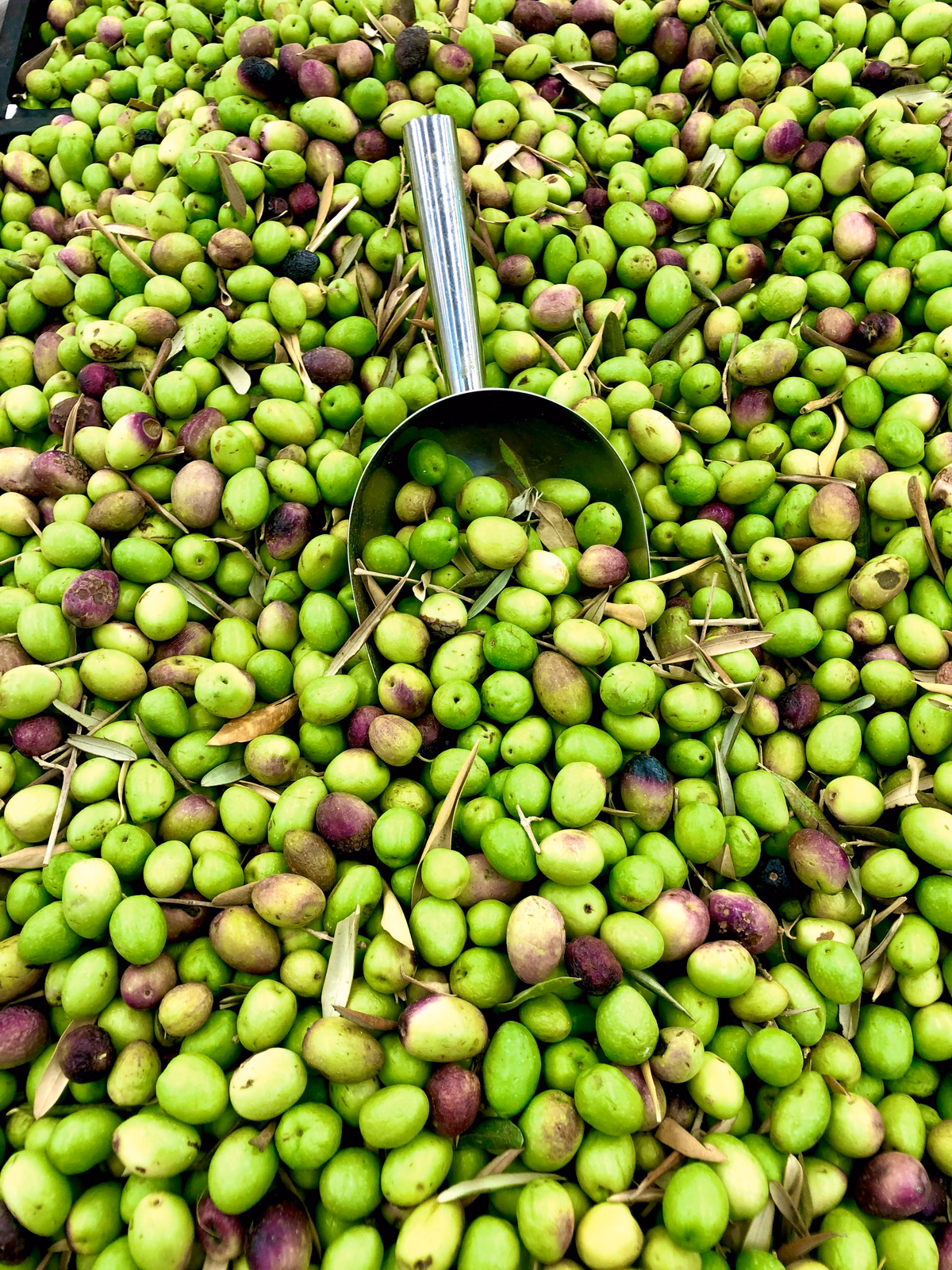 Olives