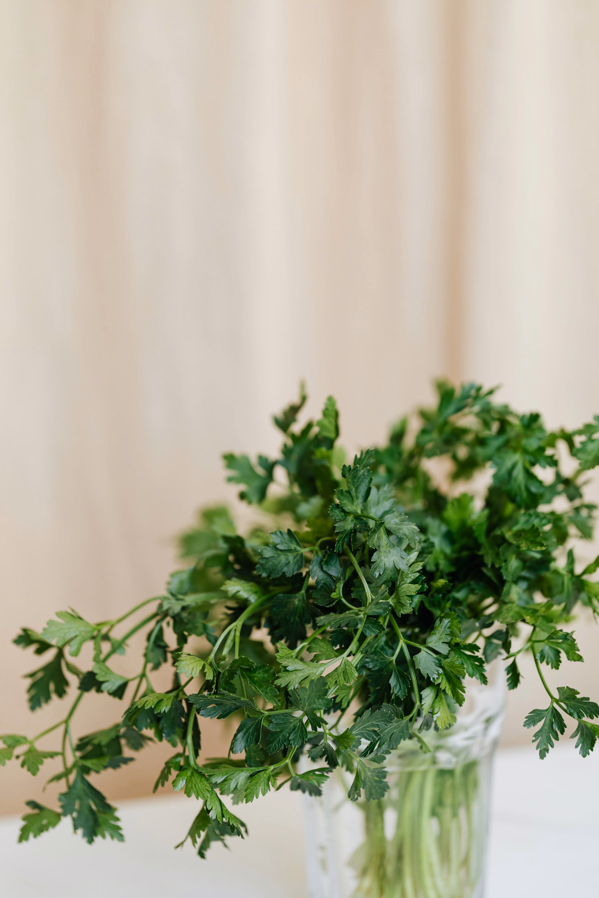 Parsley
