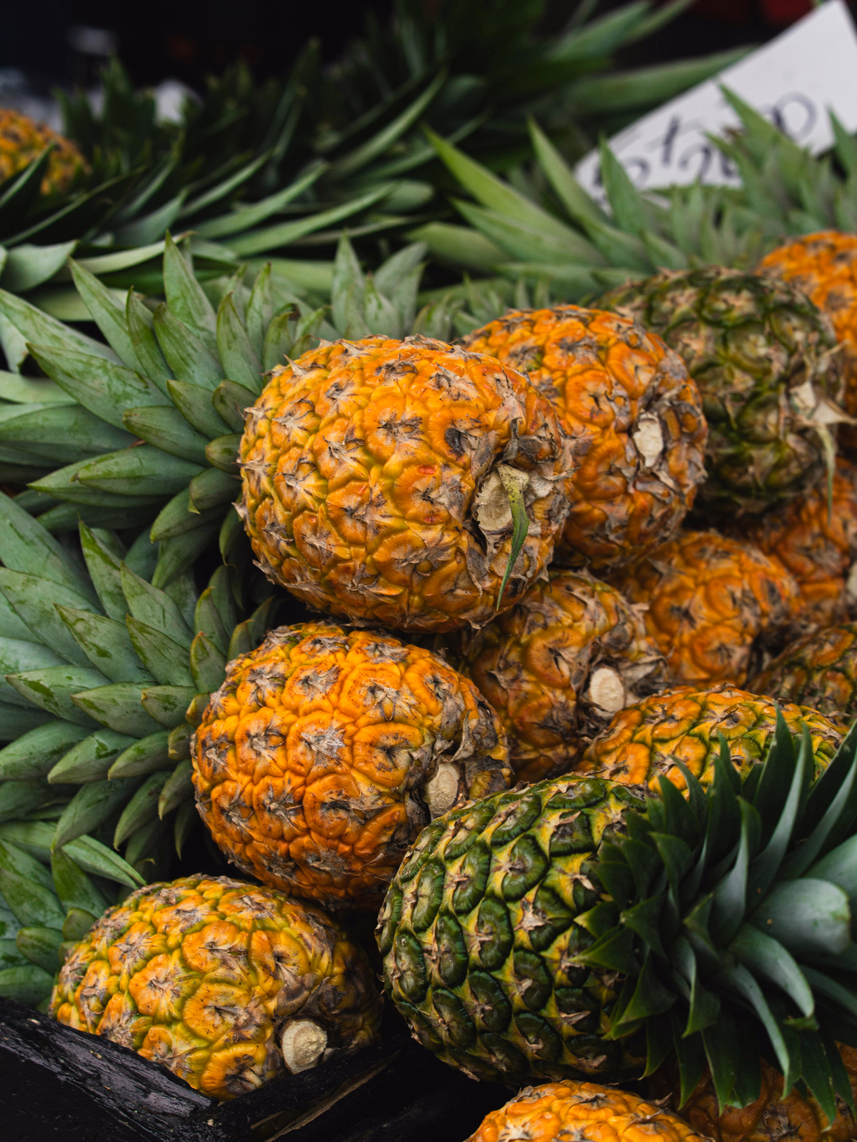 Pineapple