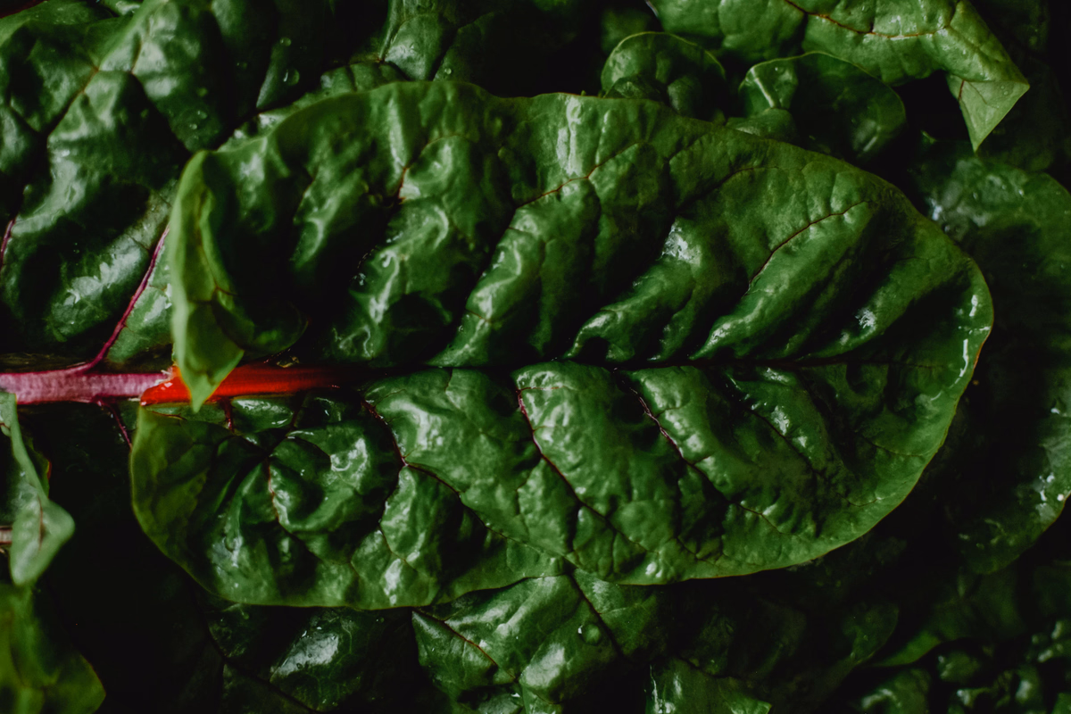 Mediterranean Swiss Chard